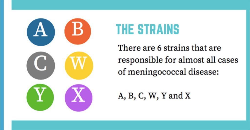 meningococcal_strains_graphic