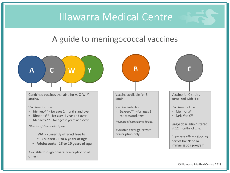 Useful Guide To Meningococcal Vaccines - Illawarra Medical Centre